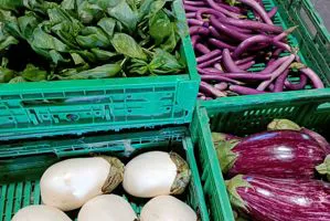 vendita spinaci a verona -Az. Agricola Accordi