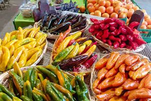 vendita al dettaglio peperoncini - Az. Agricola Accordi