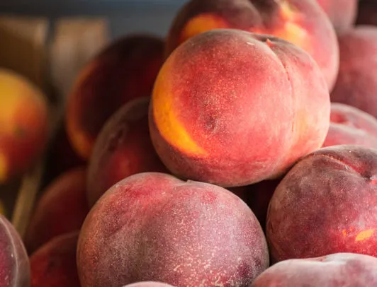 vendita pesche a verona az. agricola accordi renato