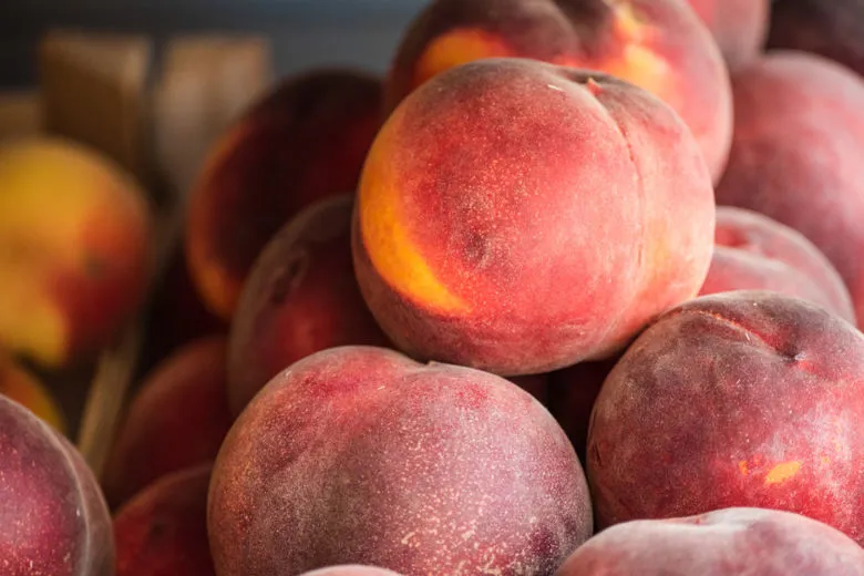 vendita pesche a verona az. agricola accordi renato