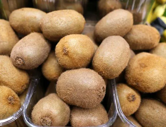 vendita kiwi a verona az. agricola accordi renato