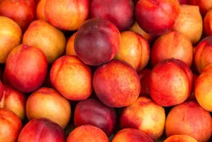 pesche nettarine az. agricola accordi renato