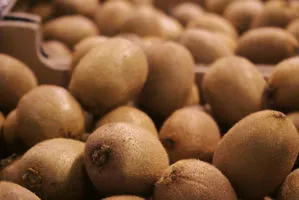 kiwi az. agricola accordi renato
