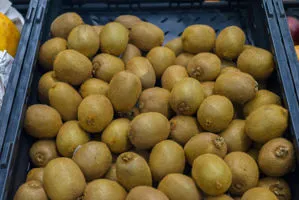 vendita all'ingrosso kiwi az. agricola accordi renato