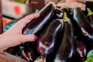 vendita melanzane a verona az. agricola accordi