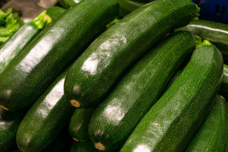 vendita zucchine all'ingrosso az. agricola accordi renato