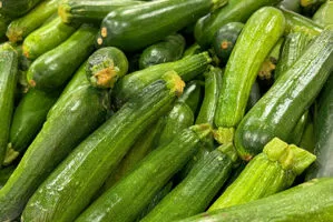 vendita zucchine verona az. agricola accordi renato
