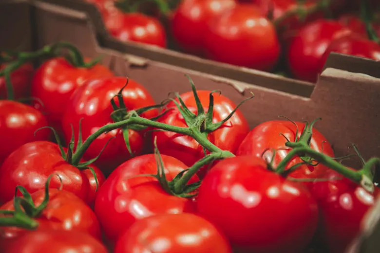vendita pomodori all'ingrosso az. agricola accordi