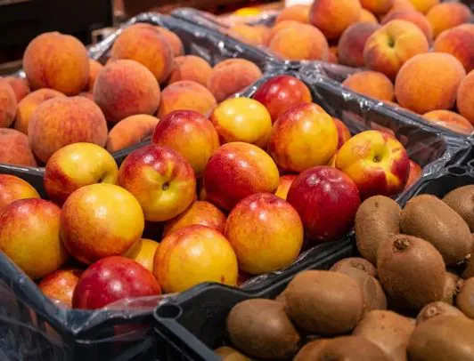 Produzione di frutta fresca di stagione per la vendita all'ingrosso 