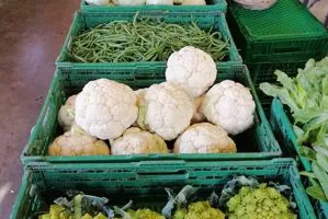 Vendita diretta di cavolo a Verona