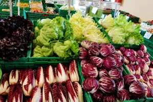 Vendita diretta di insalata e radicchio a Verona