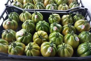 Vendita diretta di pomodori a Verona