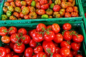 Vendita pomodori freschi a Verona